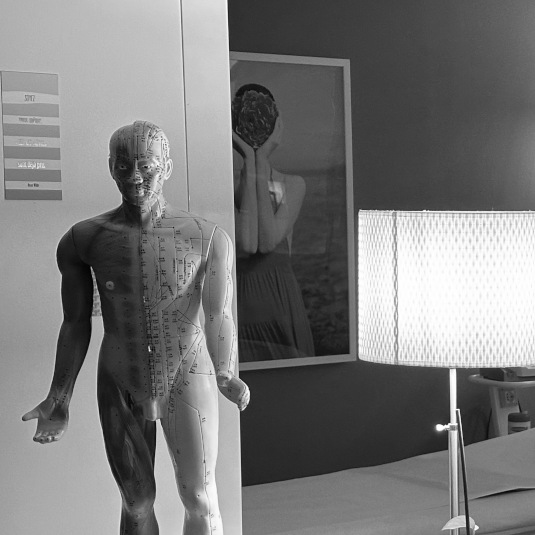 cabinet-luxouncture-annecy-004