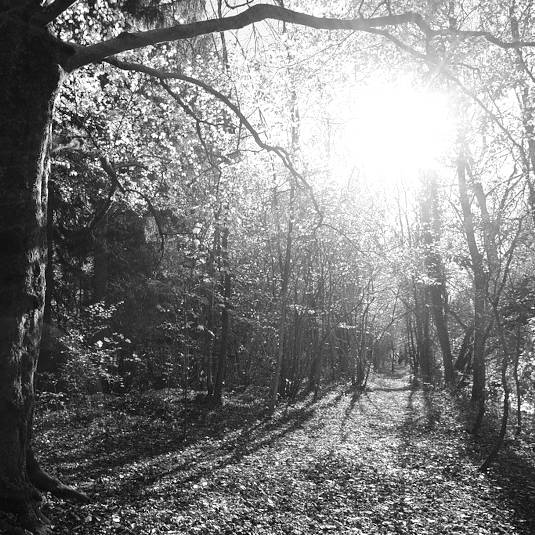 haute-savoie-meythet